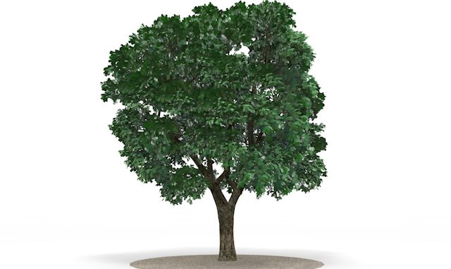 159-environment-illustration